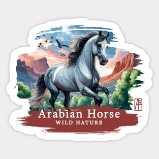 Arabian Horse - WILD NATURE - HORSE -6 Sticker